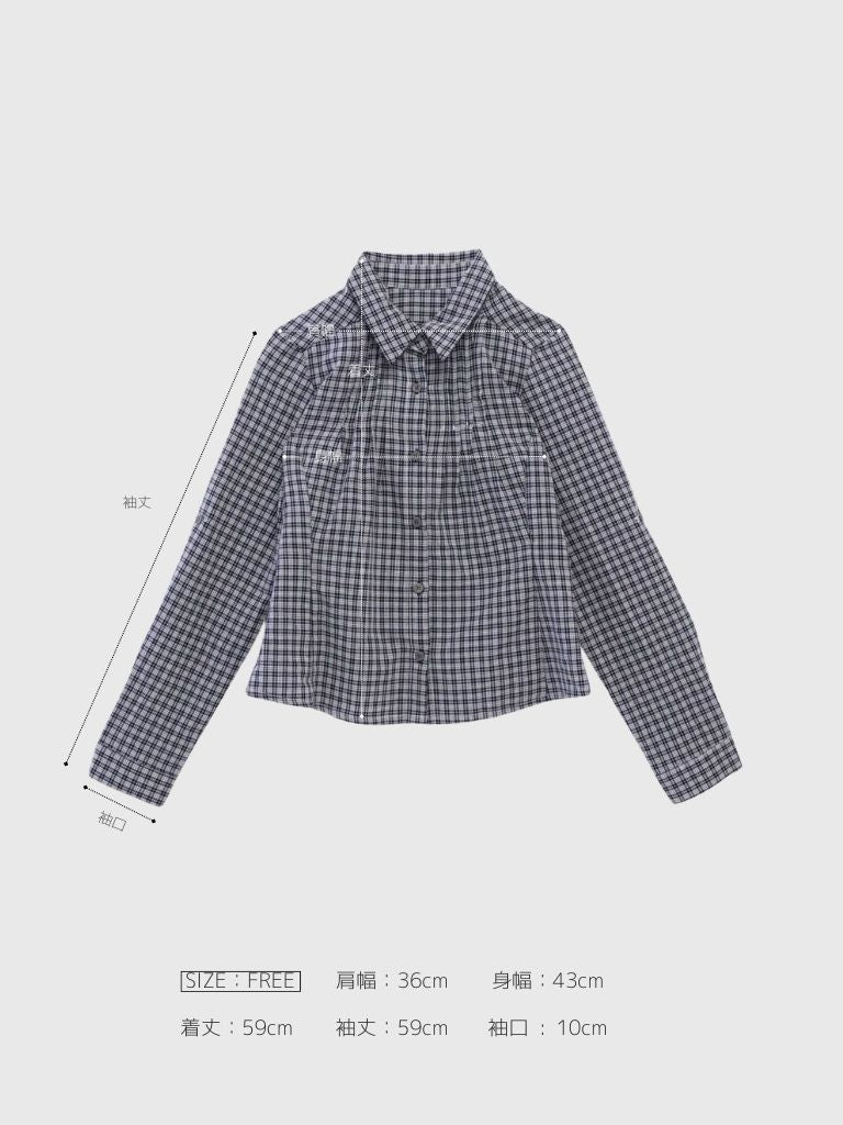classic gingham shirt