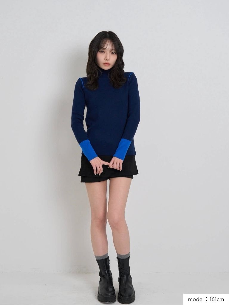 color point turtleneck knit