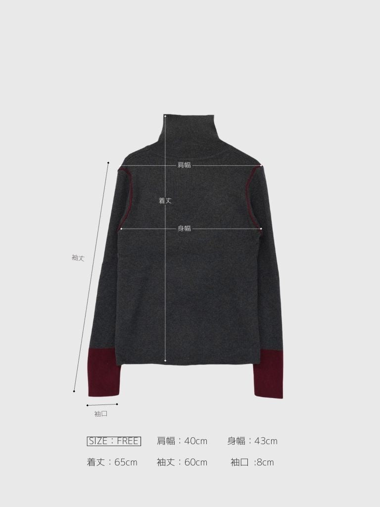 color point turtleneck knit