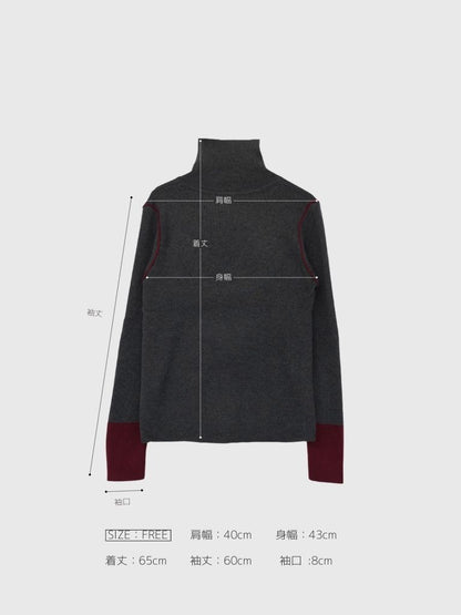 color point turtleneck knit