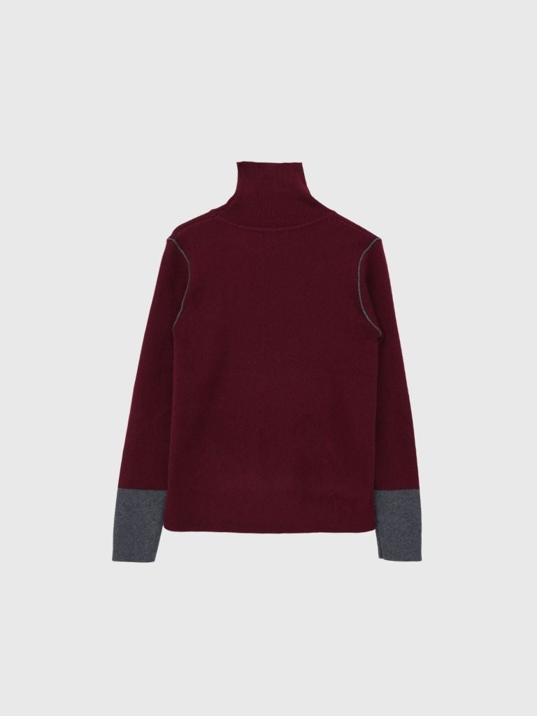 color point turtleneck knit