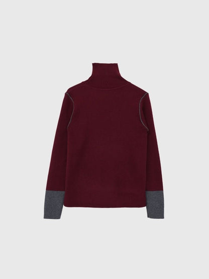 color point turtleneck knit