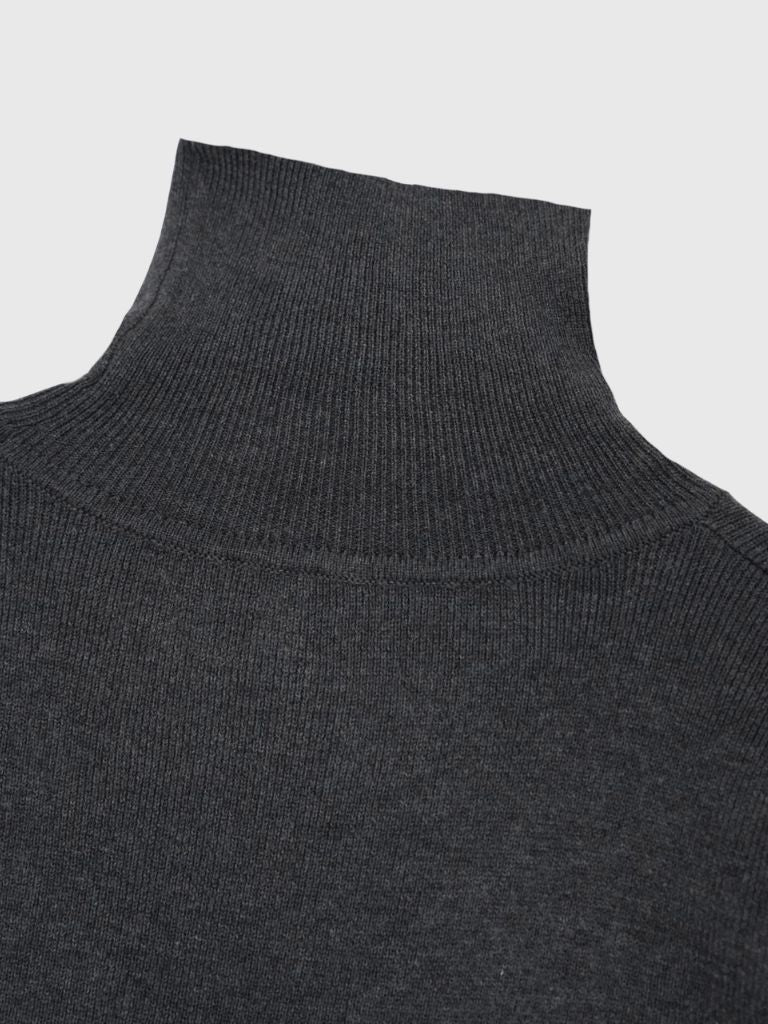 color point turtleneck knit