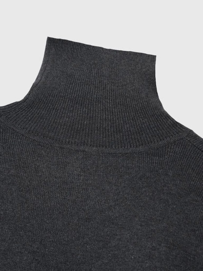 color point turtleneck knit