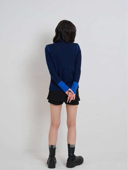 color point turtleneck knit